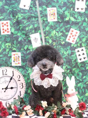 20250408コタロウくん